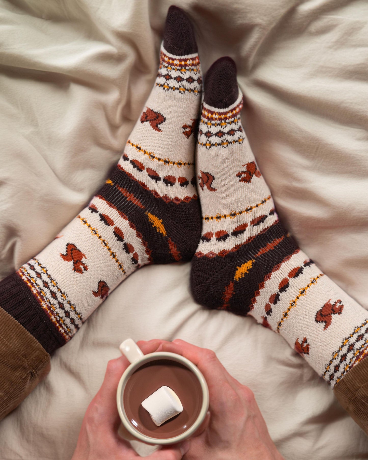 Pack 5x Chaussettes (Voyage d'Automne)