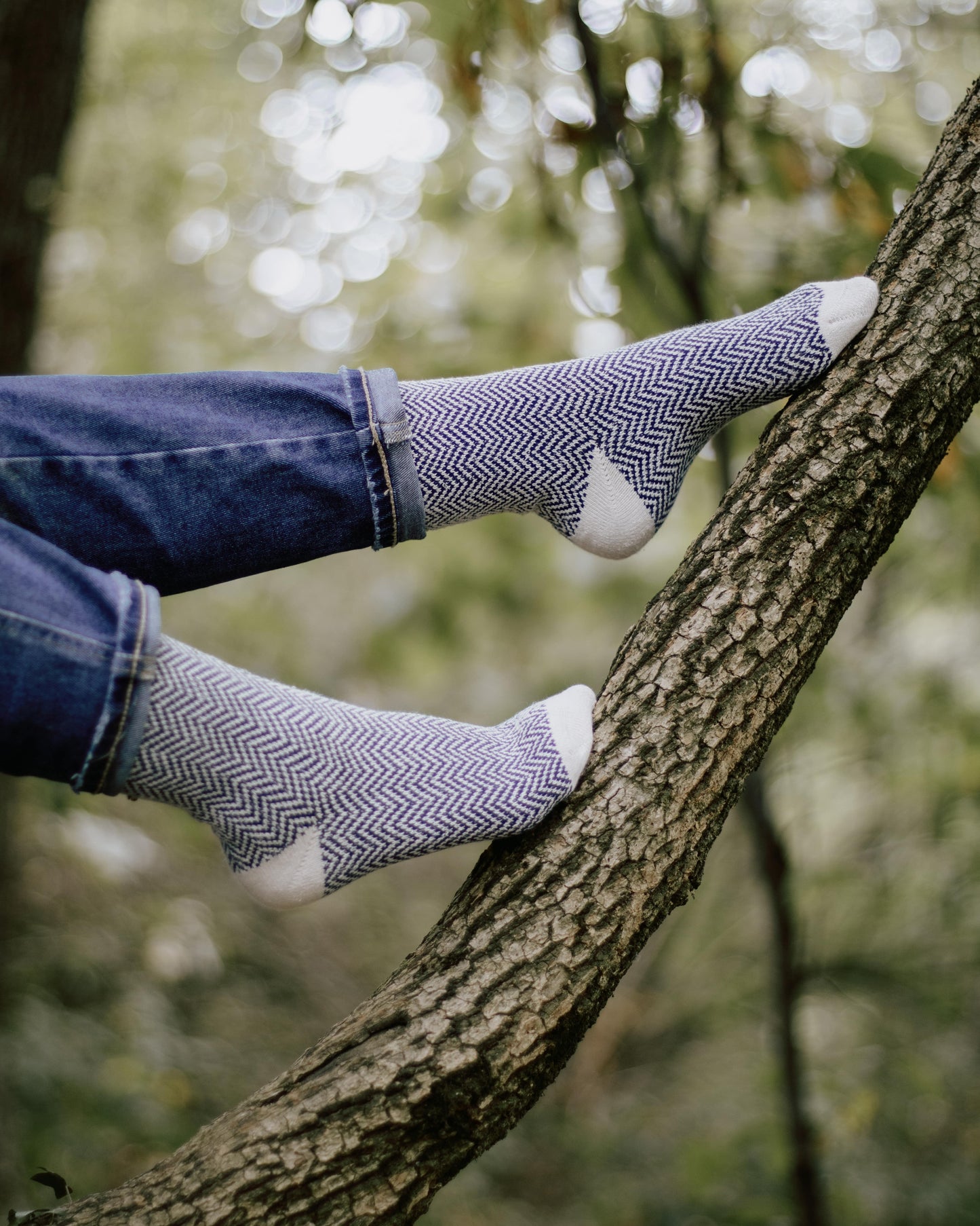 Pack 5x Chaussettes (Nature Colorée)