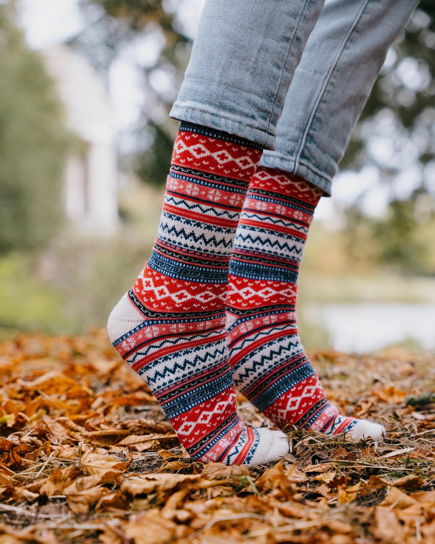 Pack 5x Socks (Colorful Nature)