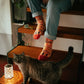 Katten